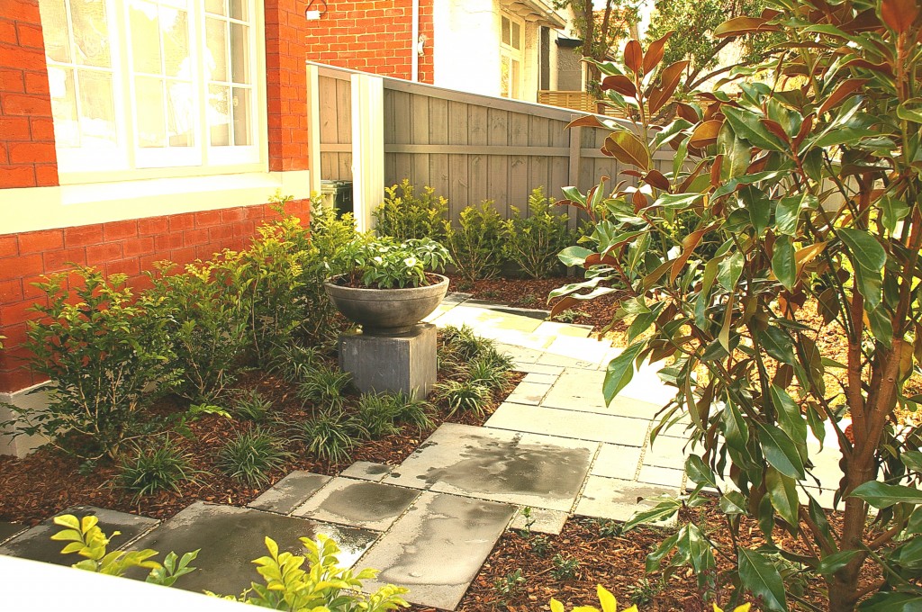 wholesale tree nursery