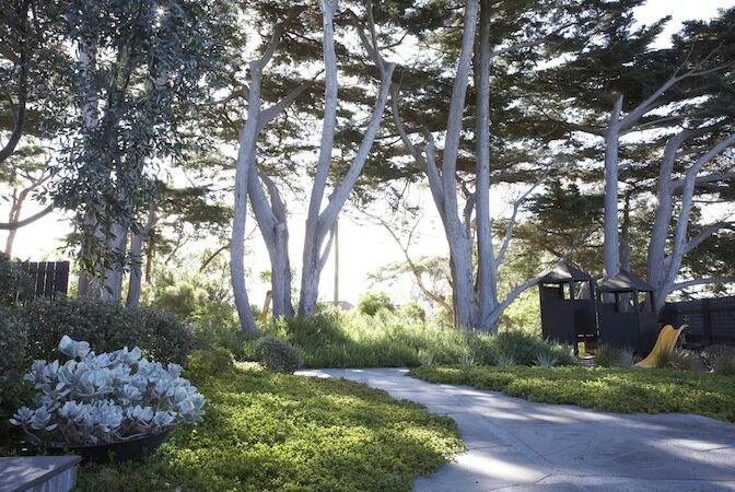 fiona brockoff native australian garden